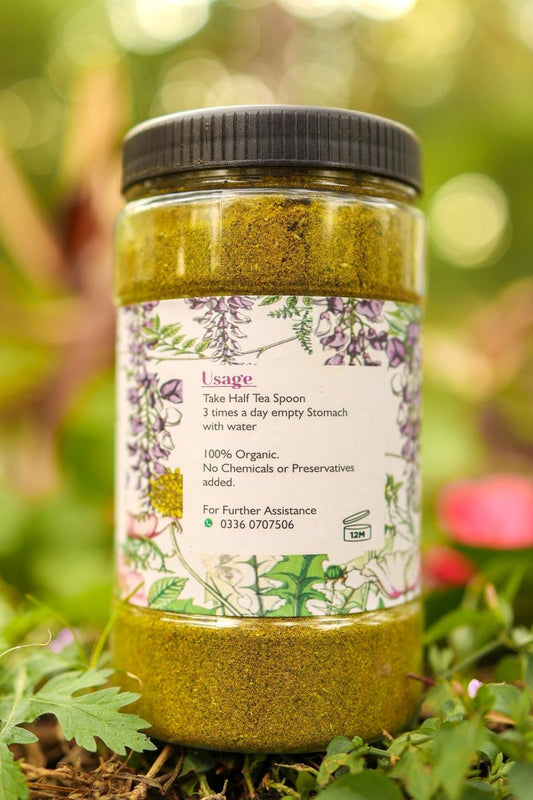 Just For Today.!! Buy 1 Get 1 Free (2 Months Plan)